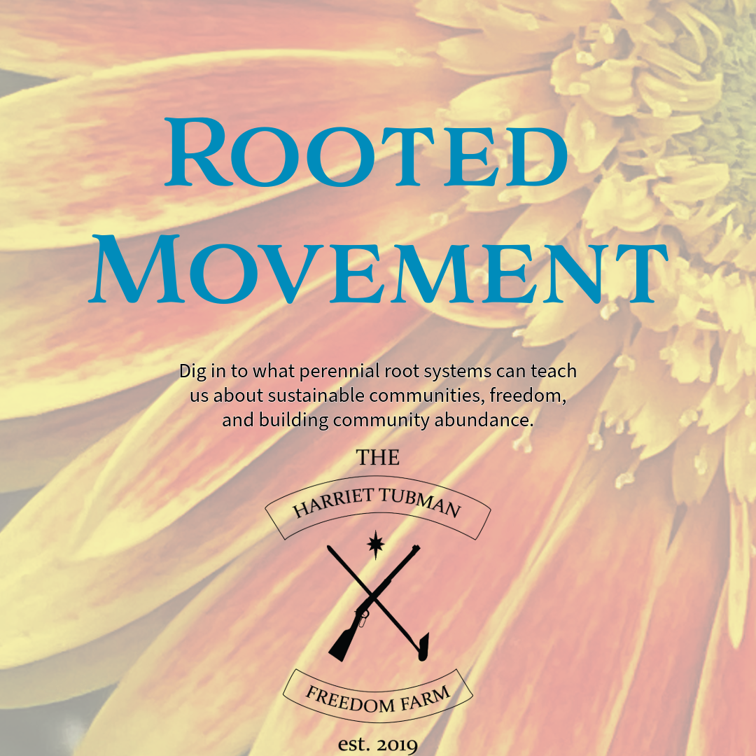 Rooted Movement | October 29th