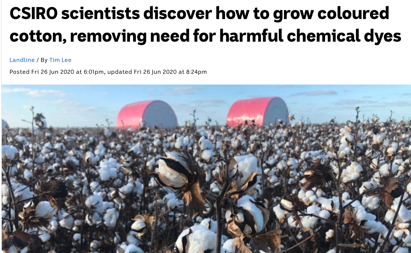 Screen Shot 2020-08-13 at 5.37.32 PM.png