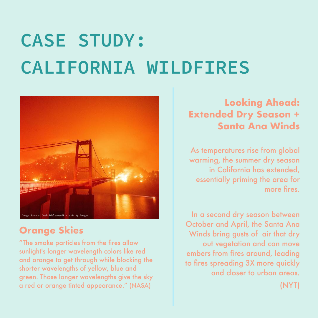 Instagram Post - 7.png