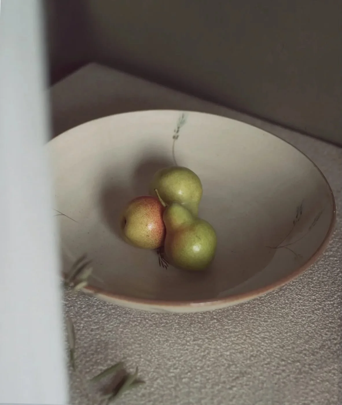 Quiet beauty, thoughtfully made. The Sanabel Plate is glazed earthenware that celebrates organic form and subtle texture&mdash;perfect for everyday moments or artful display. A simple piece that brings warmth and intention to the table. ✨

#BlissStud