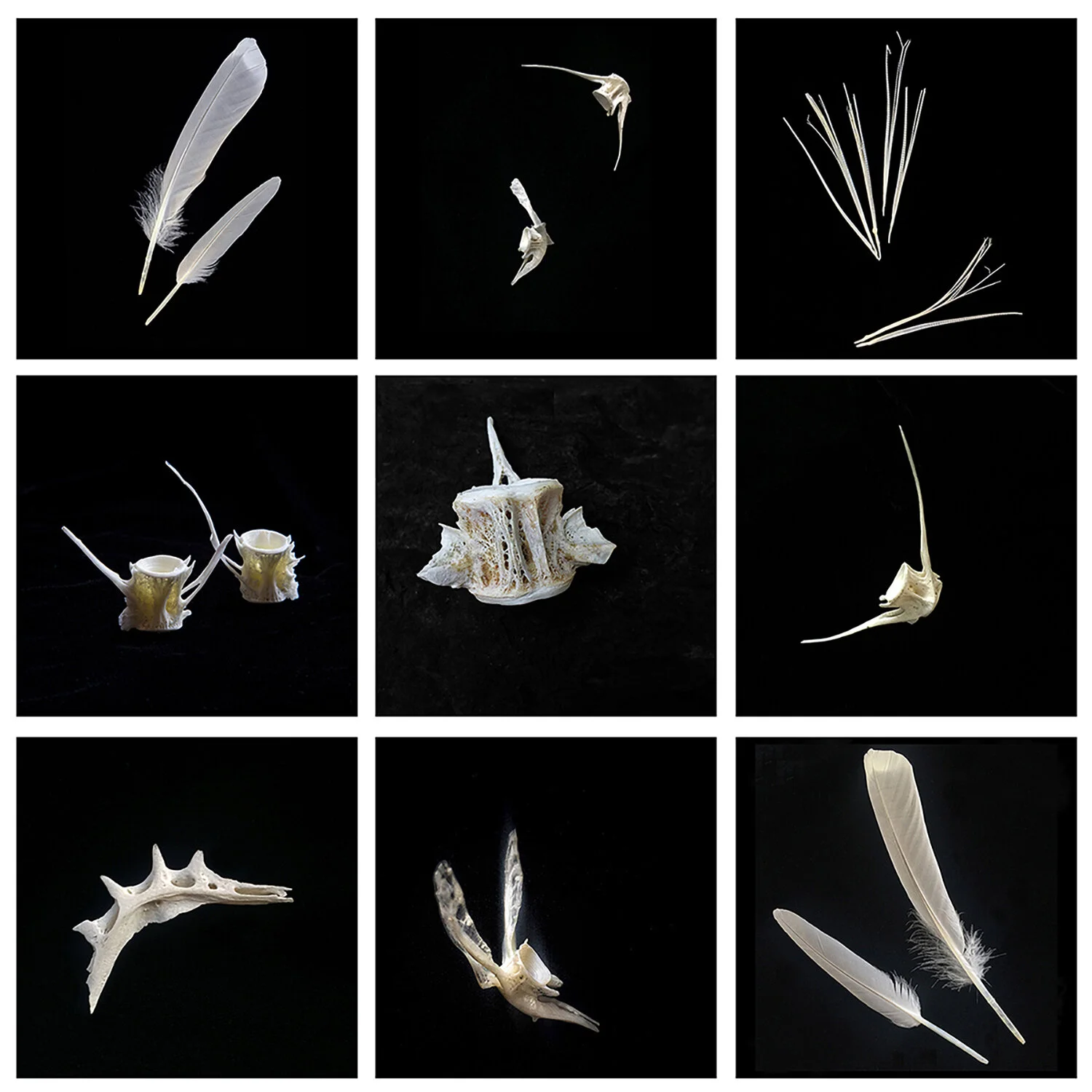 MYSTERIES OF PLUM ISLAND, ARTIFACT GRID, FLIGHT