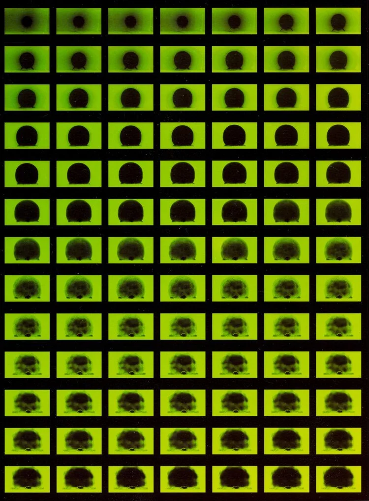 Kei Ito | Aborning New Light