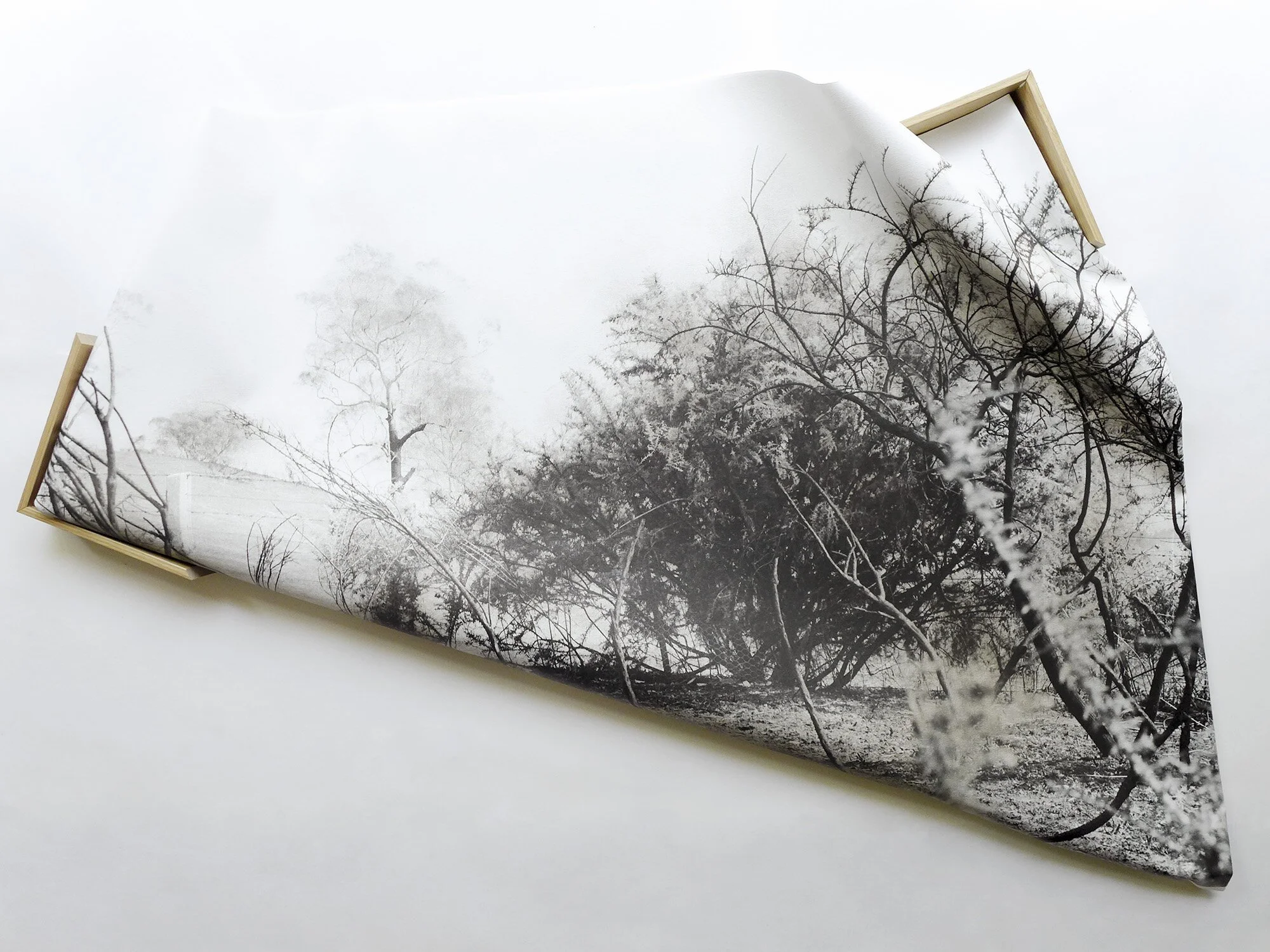 Odette England: Degrees