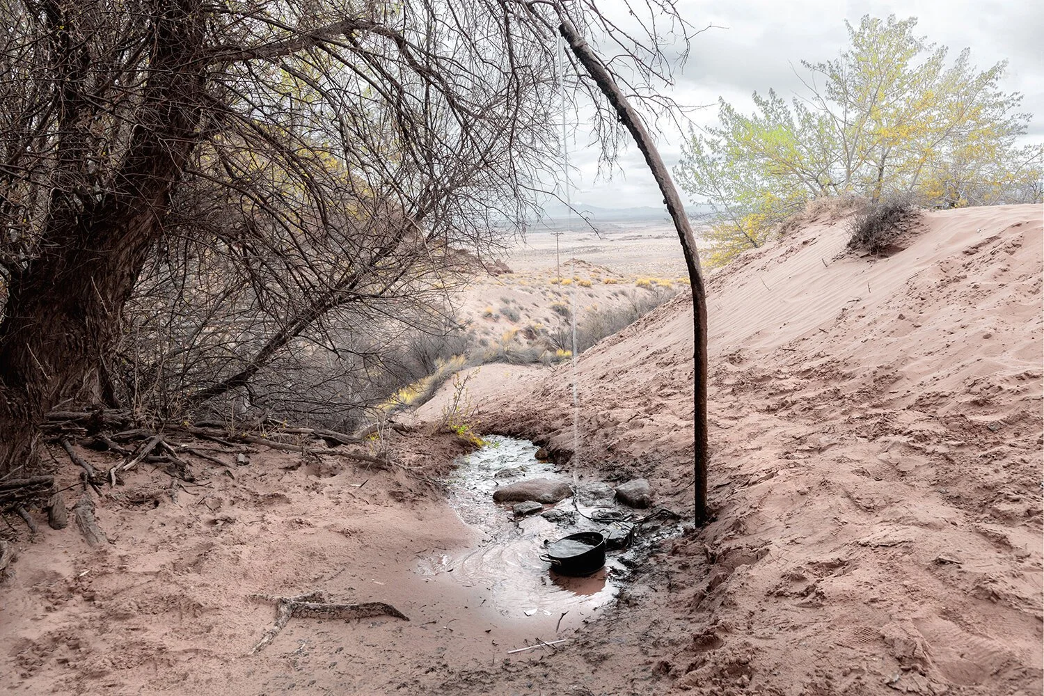 In Conversation with the Land