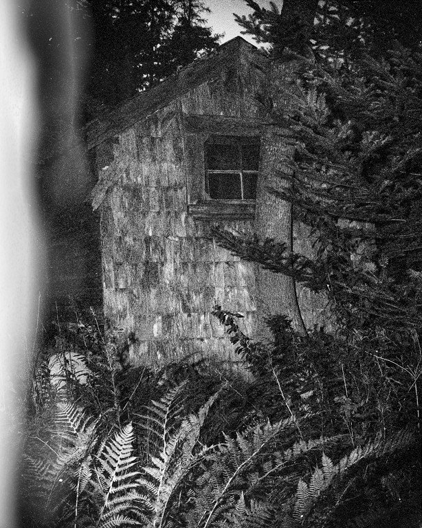 Shack of Ryhope Wood.jpg