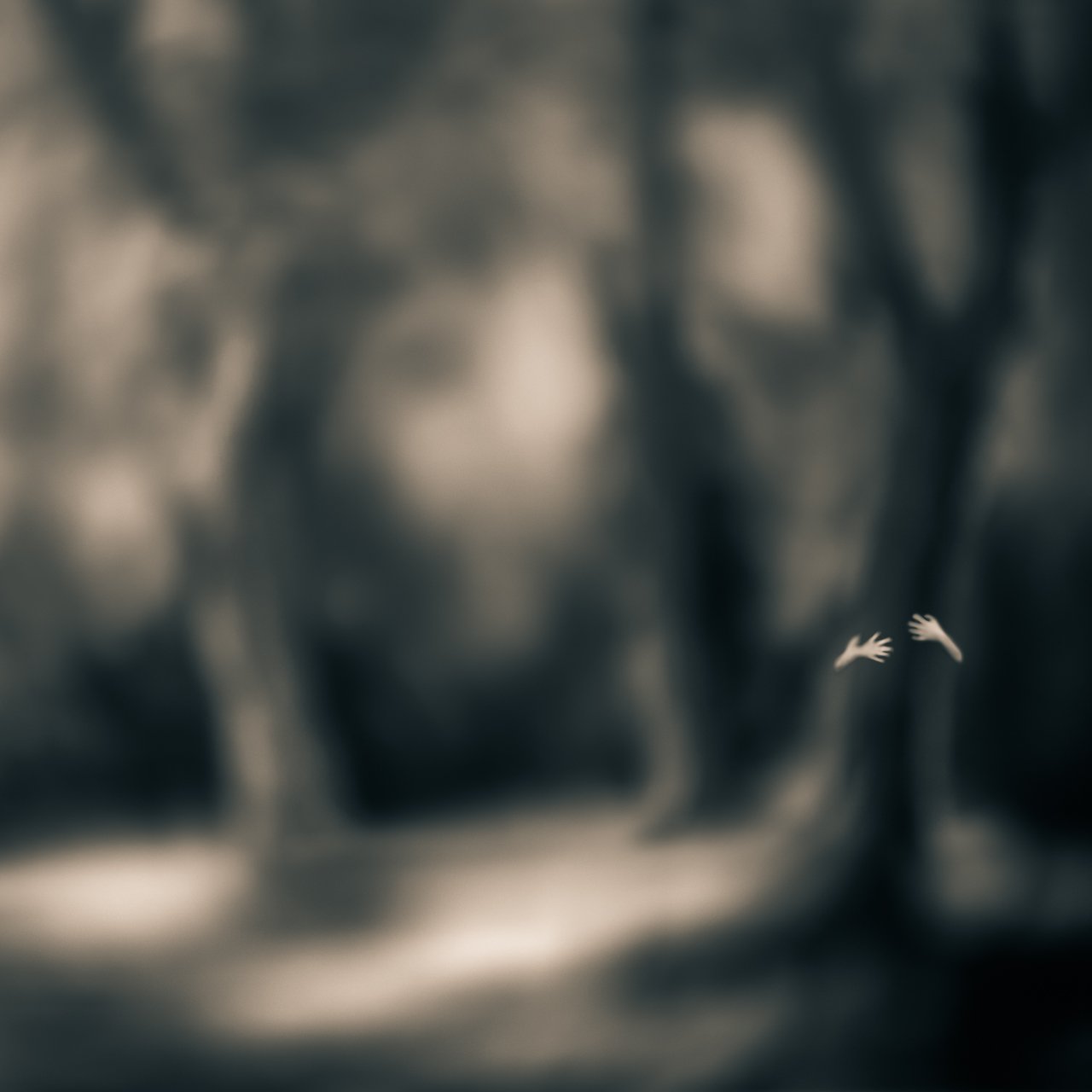 Cypress.jpg