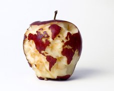 apple globe-thumb.jpg