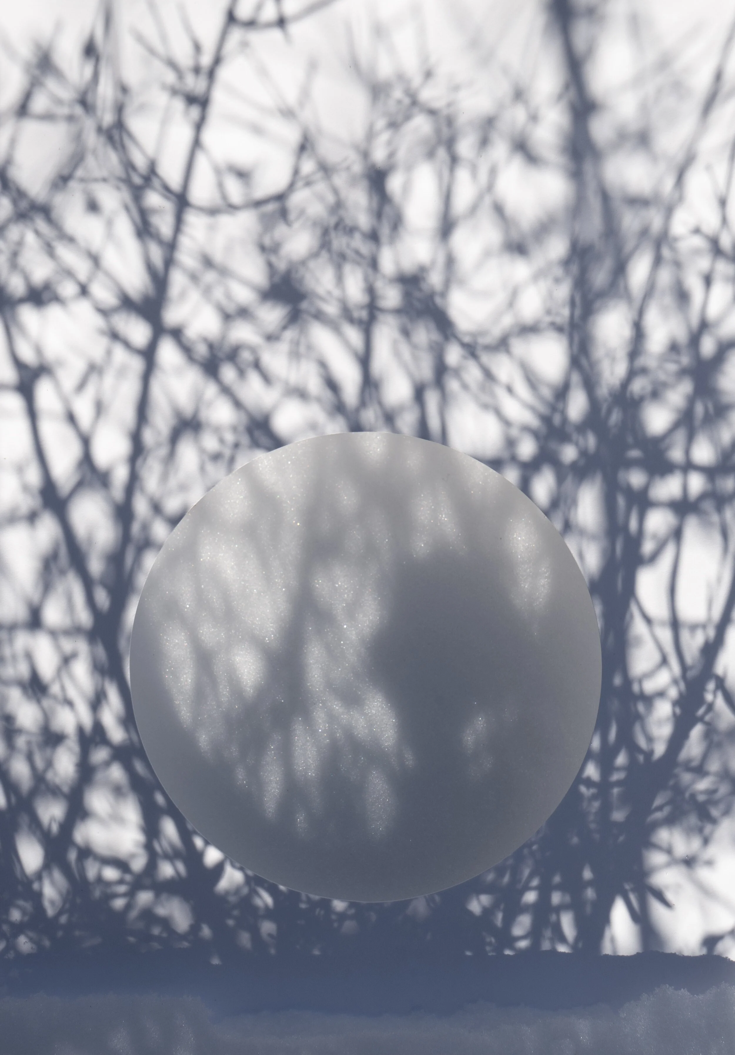 Legacy of Shadows | Brenda Biondo