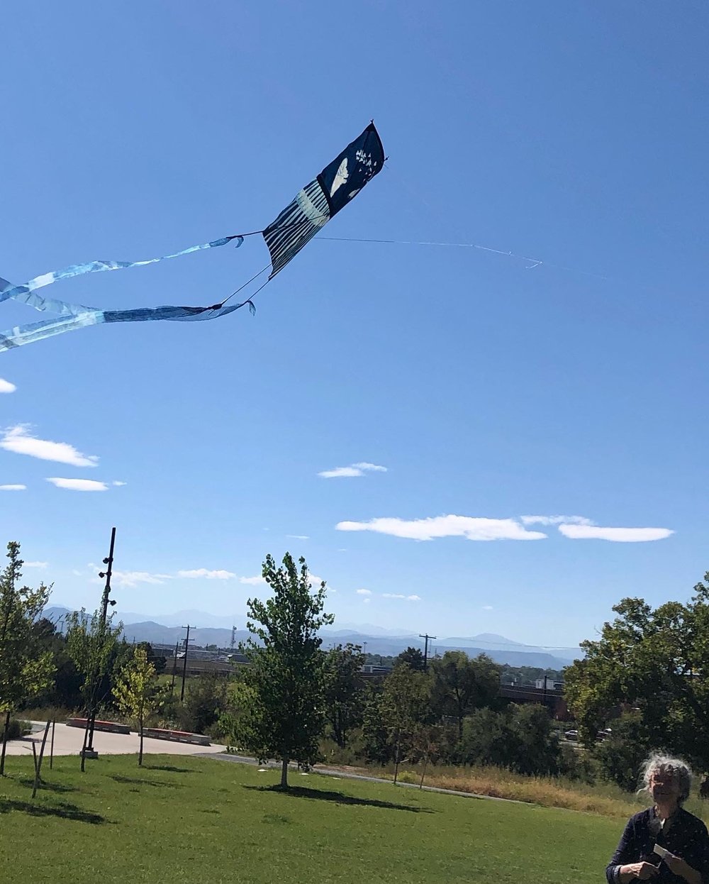  Woman flys her kite. 
