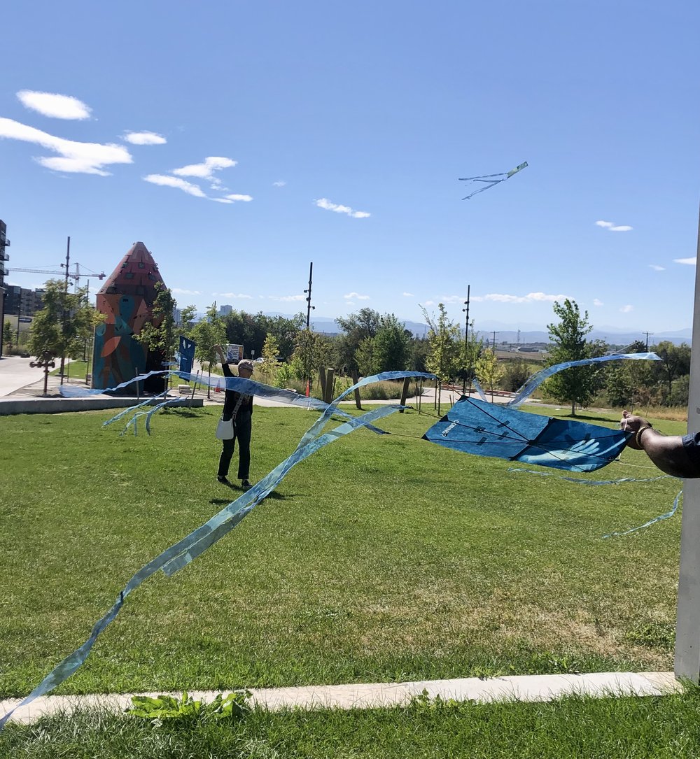  Kite being flown by a person in the background. 