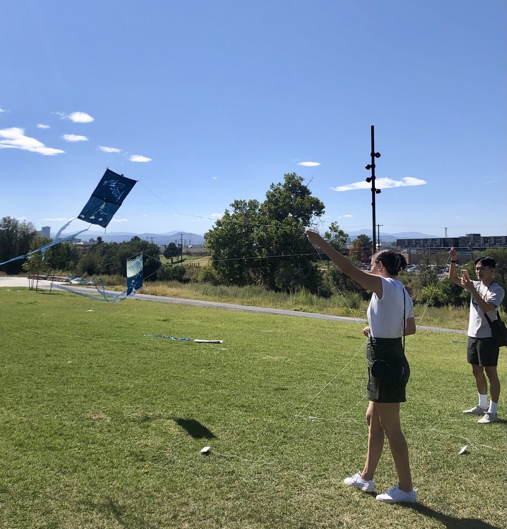  Woman flying a kite. 