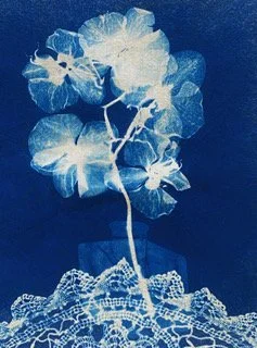 Cyanotype Workshop (In-Person) with Kimberly Chiaris 10/21