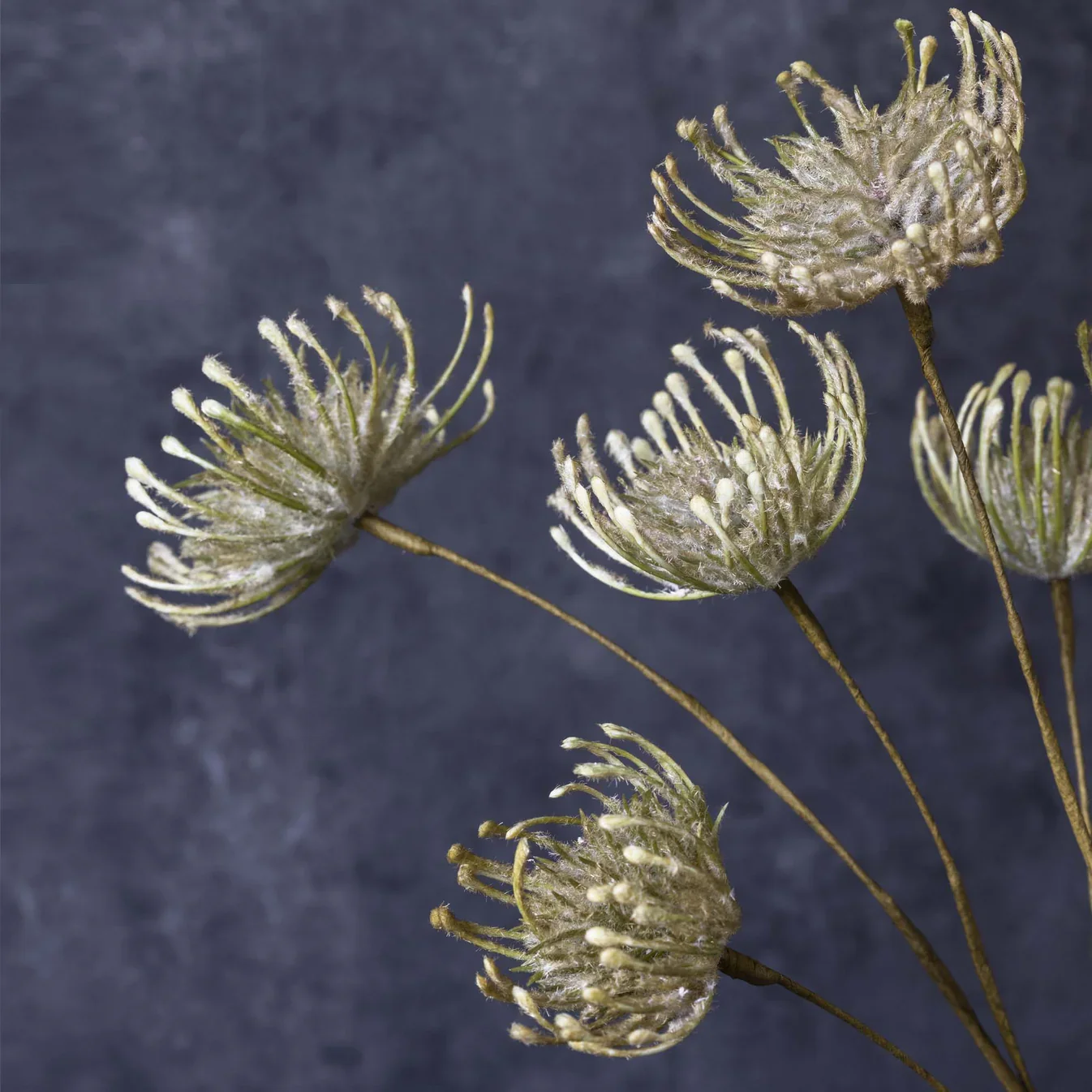 Artificial Leucospermum