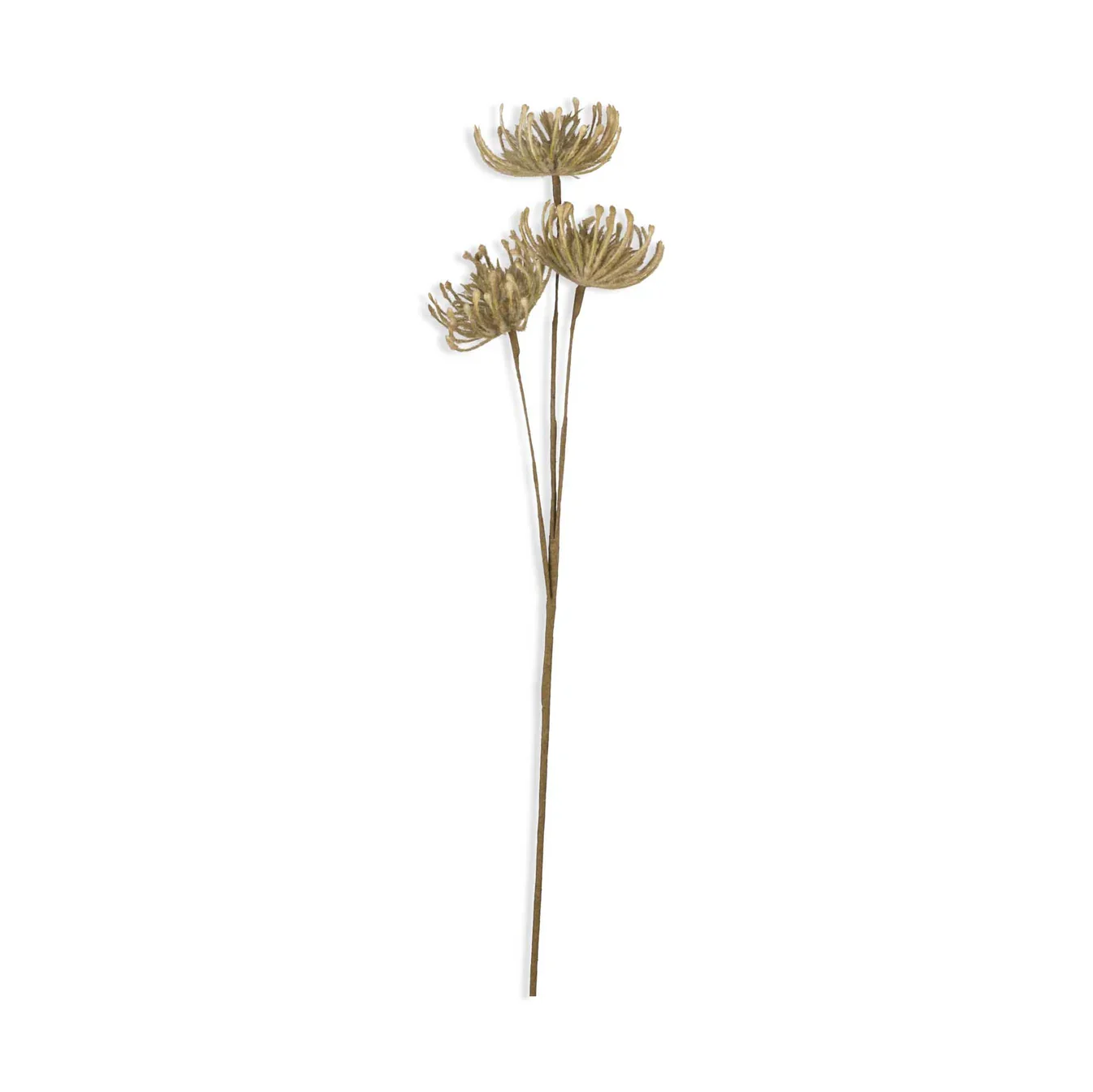 Artificial Leucospermum