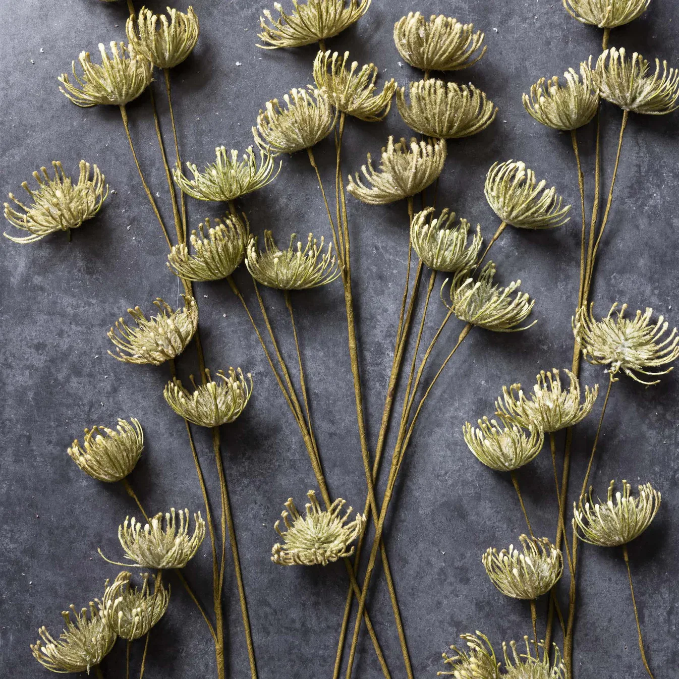 Artificial Leucospermum