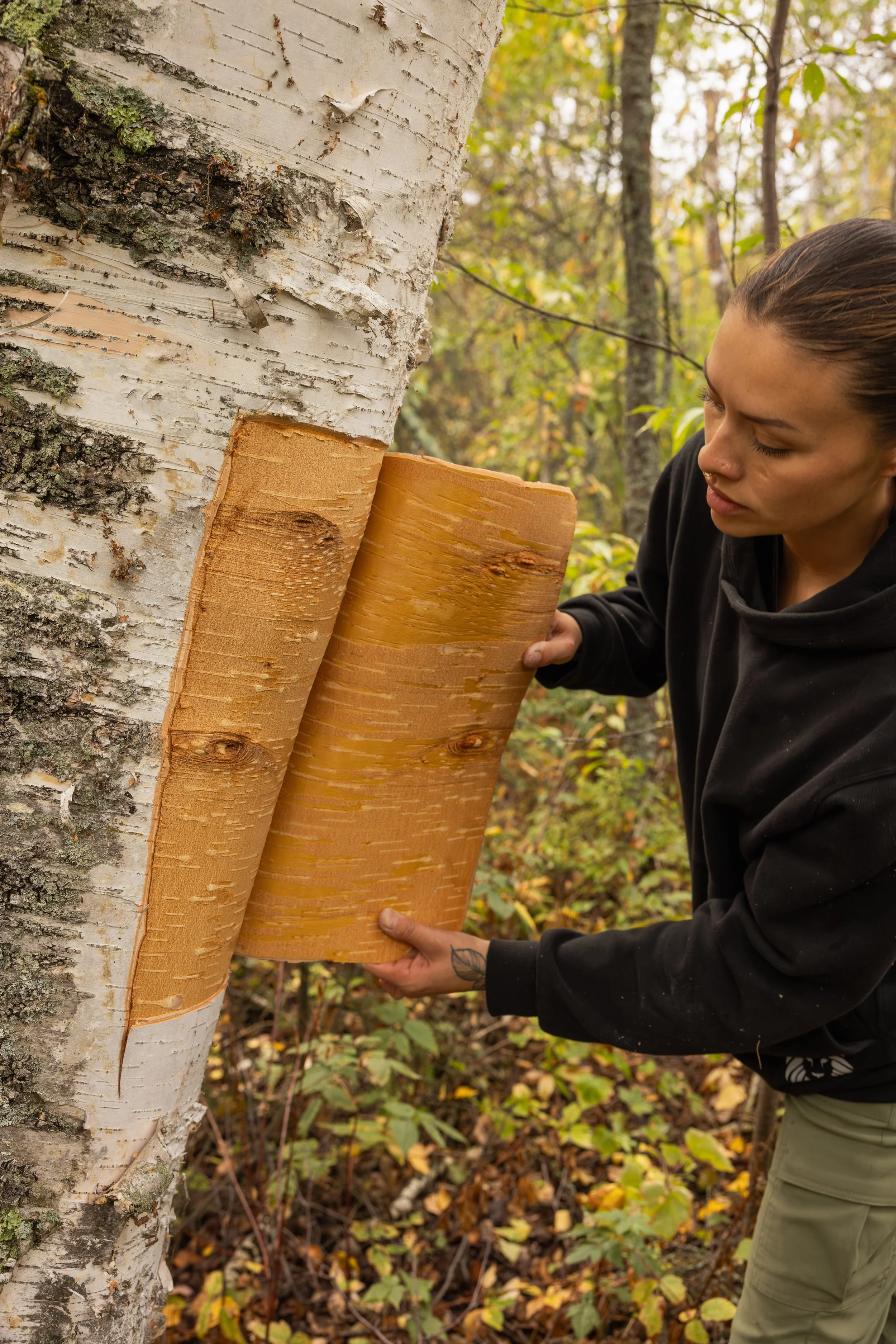 PemmicanLodge_Cultru