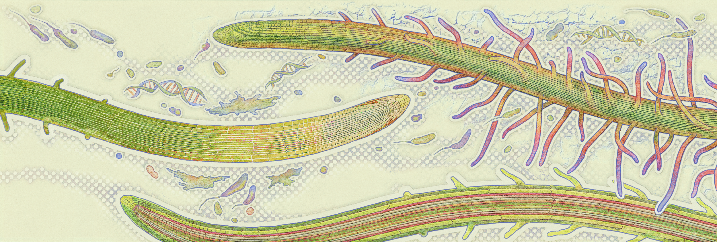 NolanLab_FULL-MURAL.png