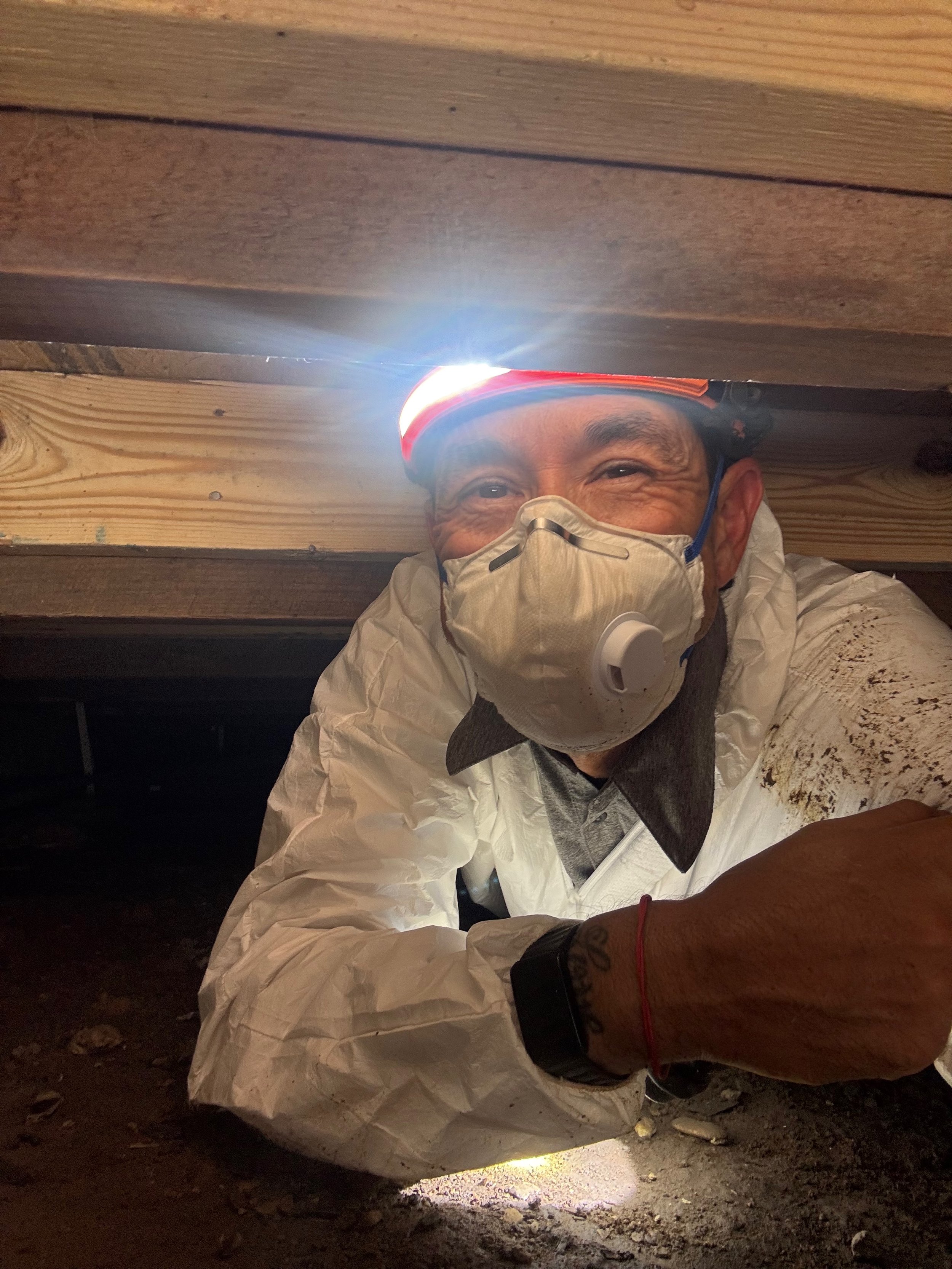 What Does a Home Inspection Really Tell You About a House?