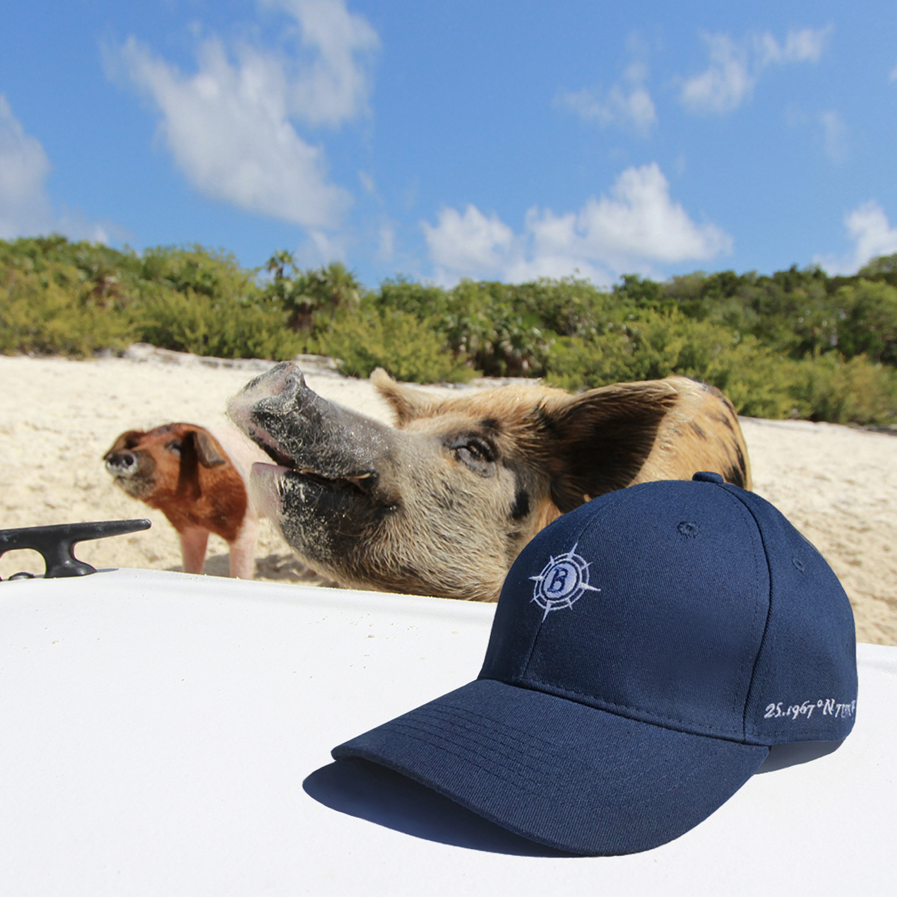 hat and pig.png