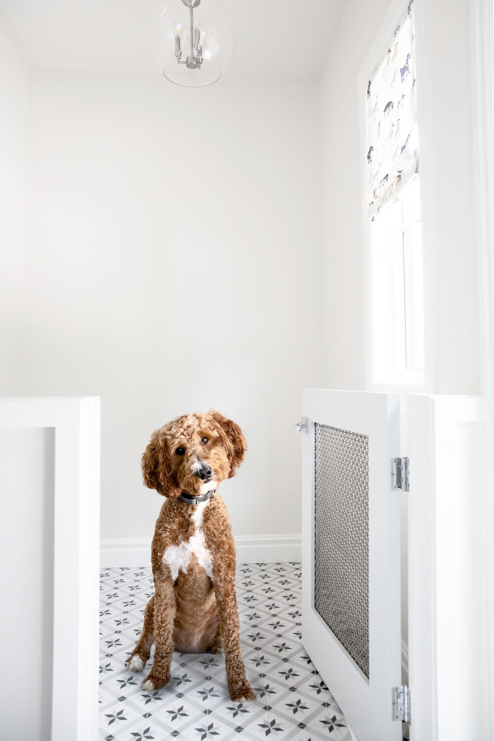 veranda-custom-homes-luxury-home-builder-calgary-lakeview-village-mudroom-4.jpg