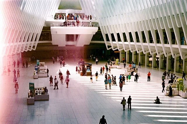 finally developed the rest of my film from this summer. old news. | 35mm | 06&amp;0717