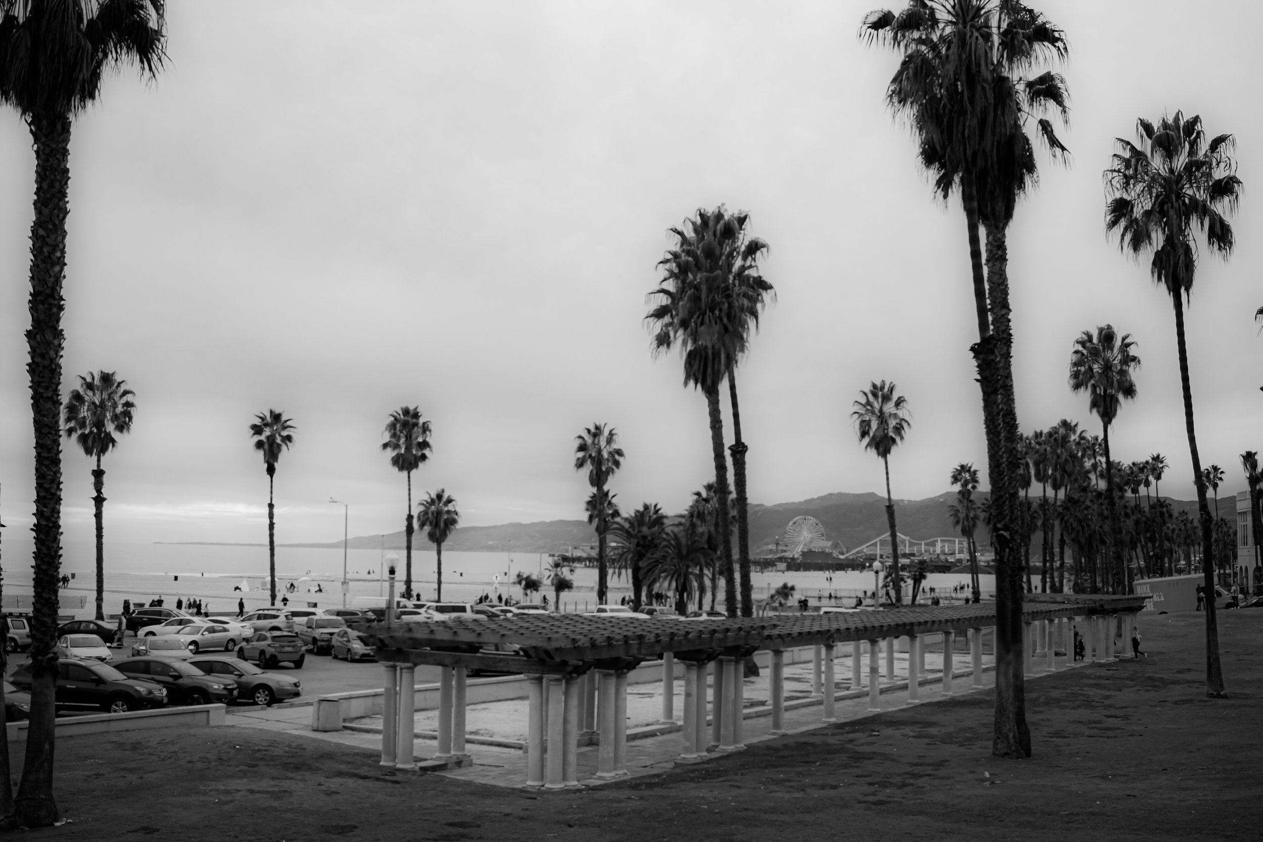 IMG_1538.jpg