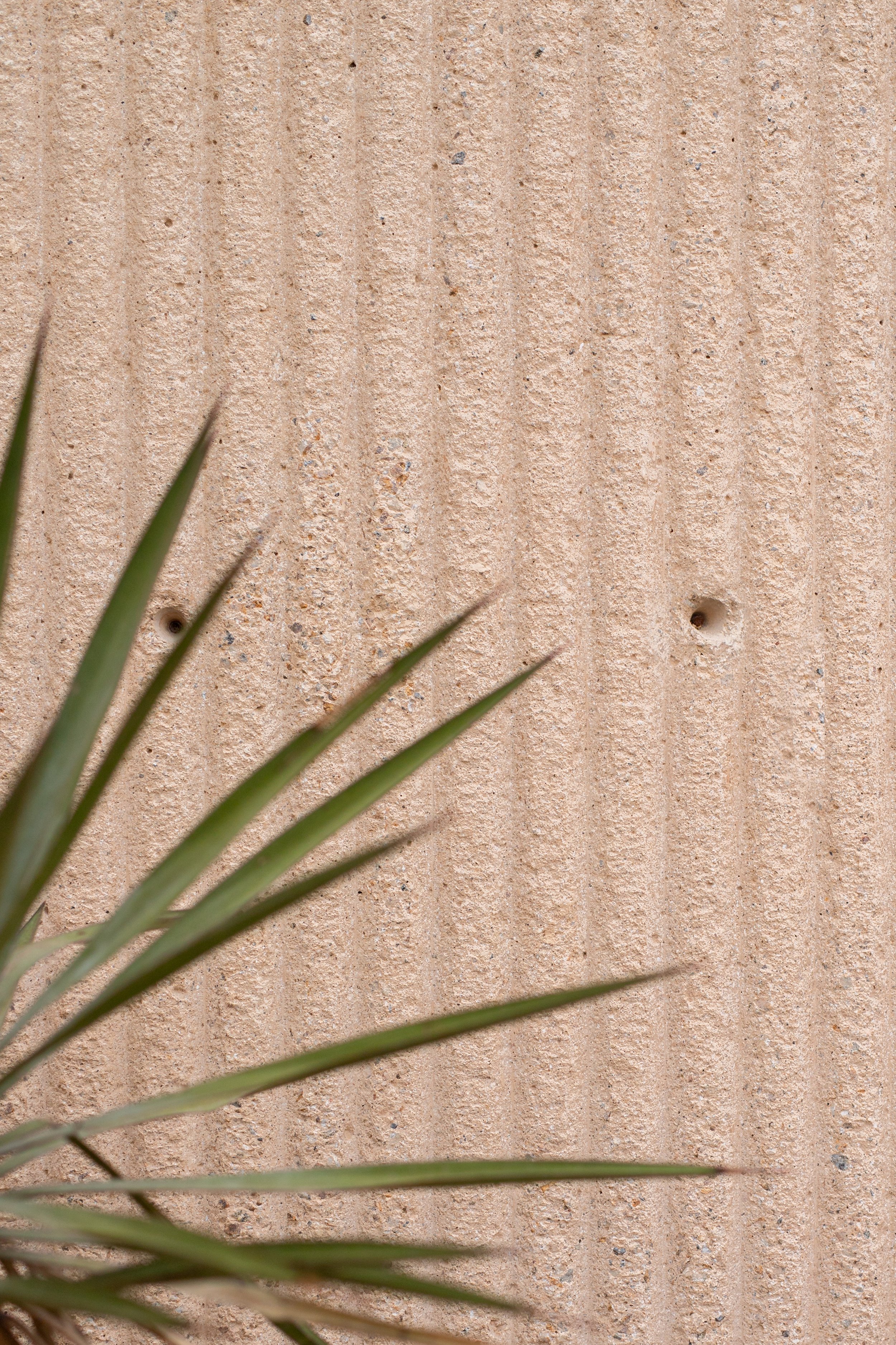 AnimaVillageA_0017.jpg