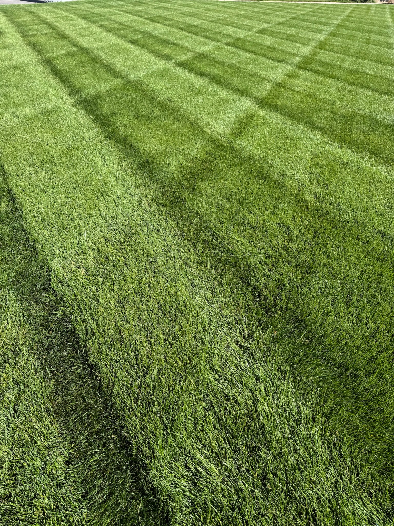 How To Properly Water Your Lawn During an Eastern Idaho Drought