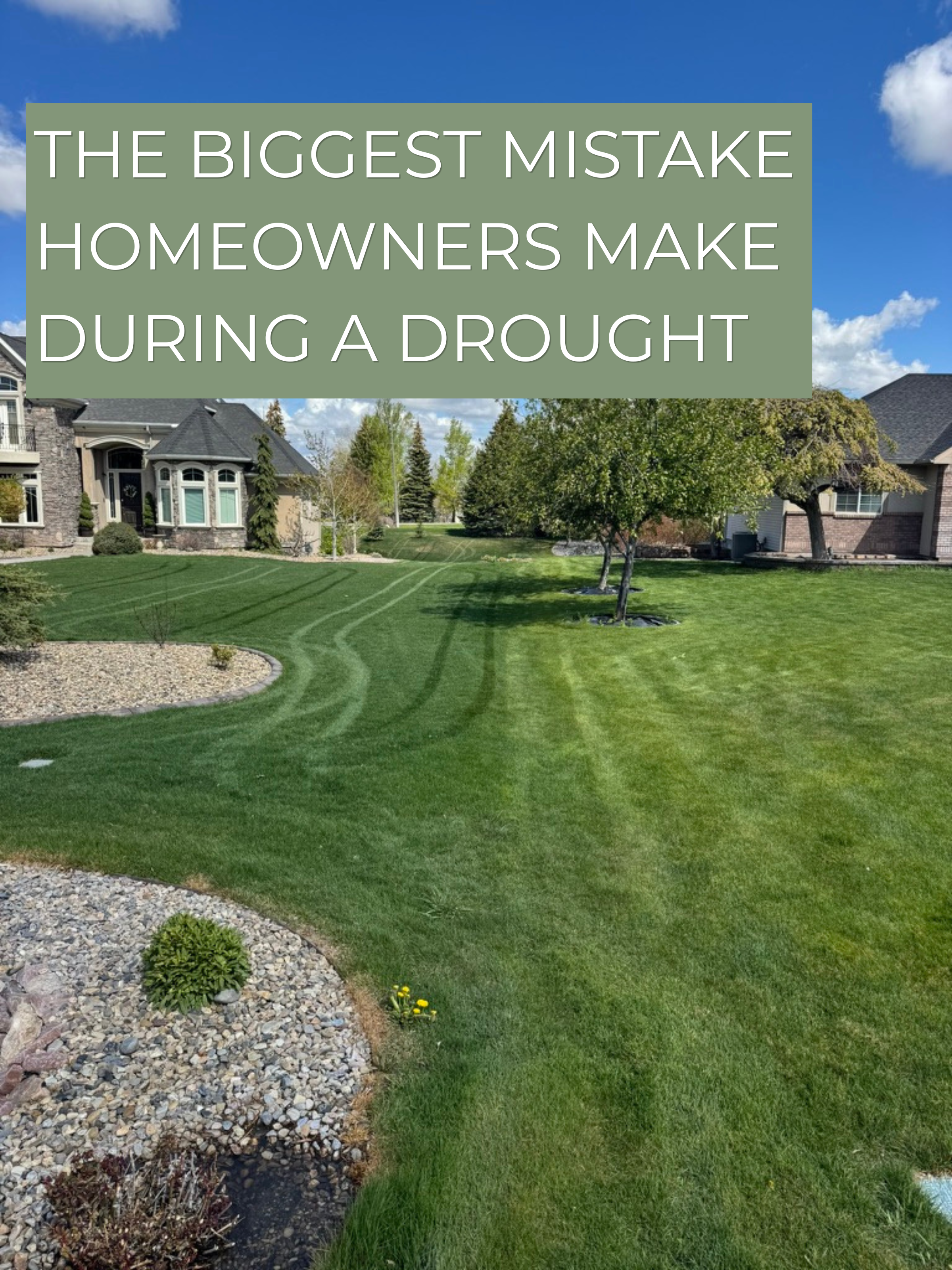 Should You Fertilize During a Drought? What Eastern Idaho Homeowners Need to Know