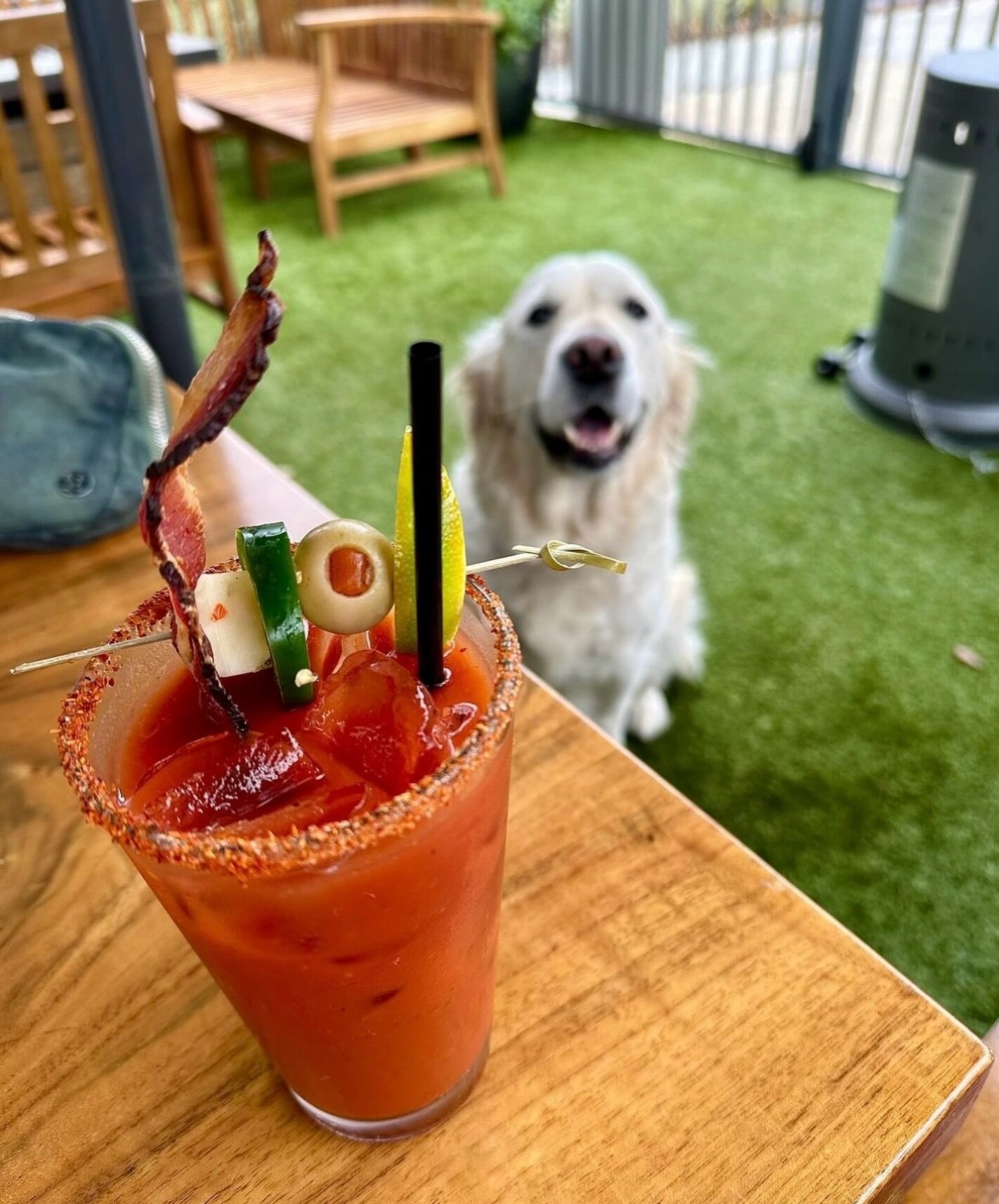 Our favorite BRUNCH view 😍 Bloody Marys are waiting for you&mdash; come on over! 📸: @klm636 @andersonscrabshack