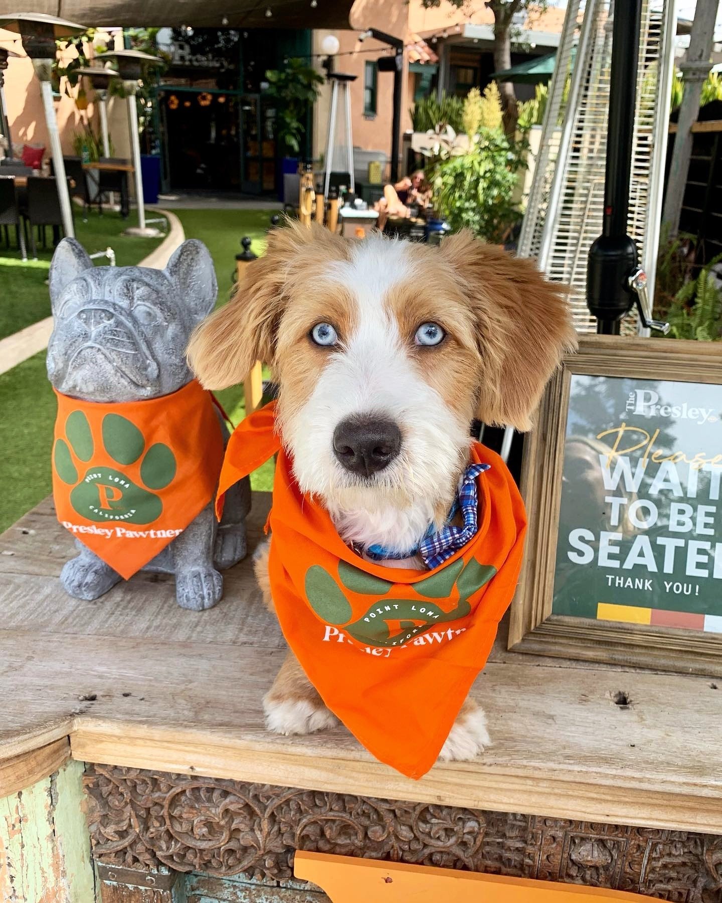 Our patrons are pawsitively adorable &hearts;️🐾 Treat your best friend to our pup menu &amp; get 10% off your bill when they wear their Presley Pawtners doggie bandana!