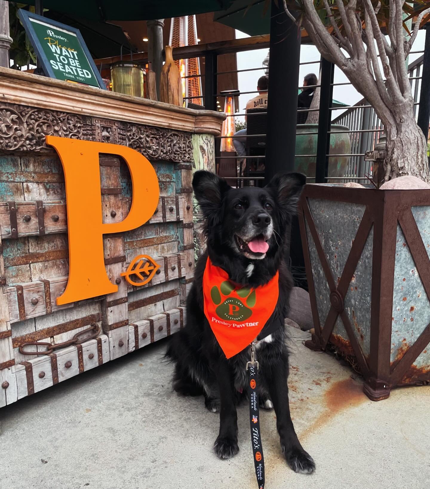 Attention Presley Pups! Our Presley Pawtner bandanas are fully stocked! Enjoy 10% off your entire bill every time you bring your pup in wearing theirs! Ask your server or bartender about purchasing one this weekend, and don&rsquo;t forget to check ou