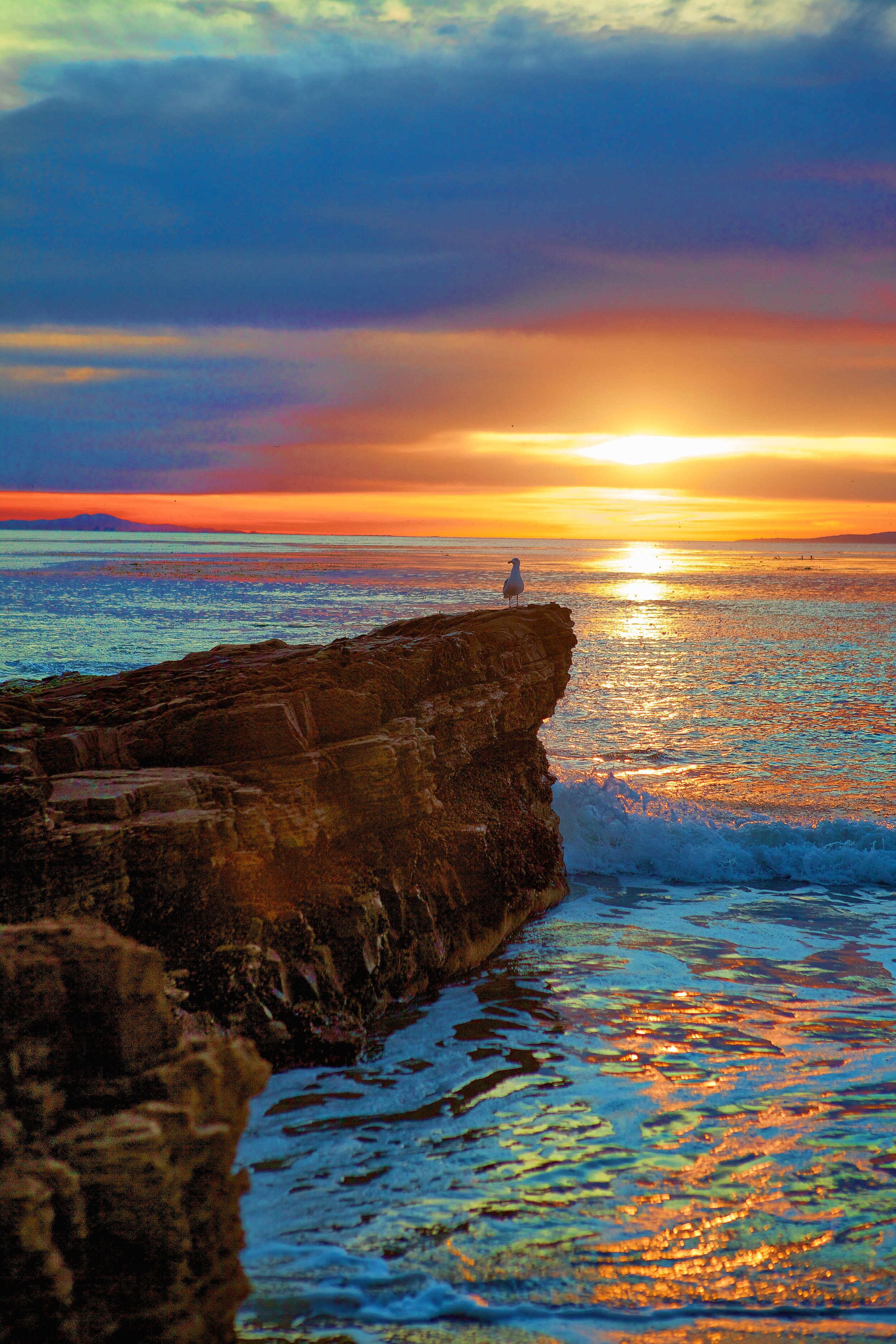 Peace in the cove 001.jpg