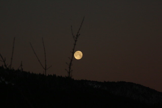 Full moon 022.jpeg