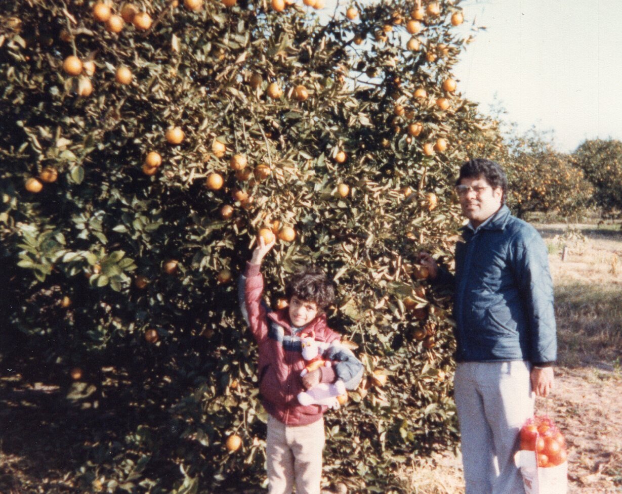 img145.jpg