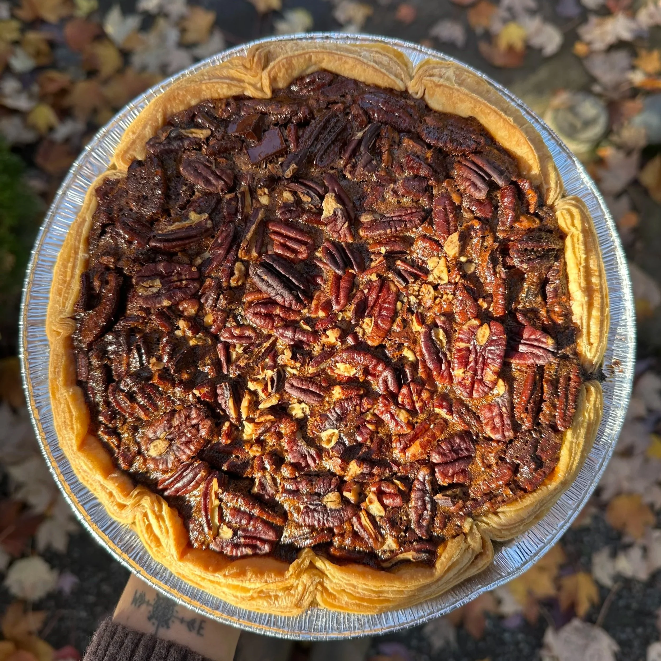 Chocolate Pecan Pie