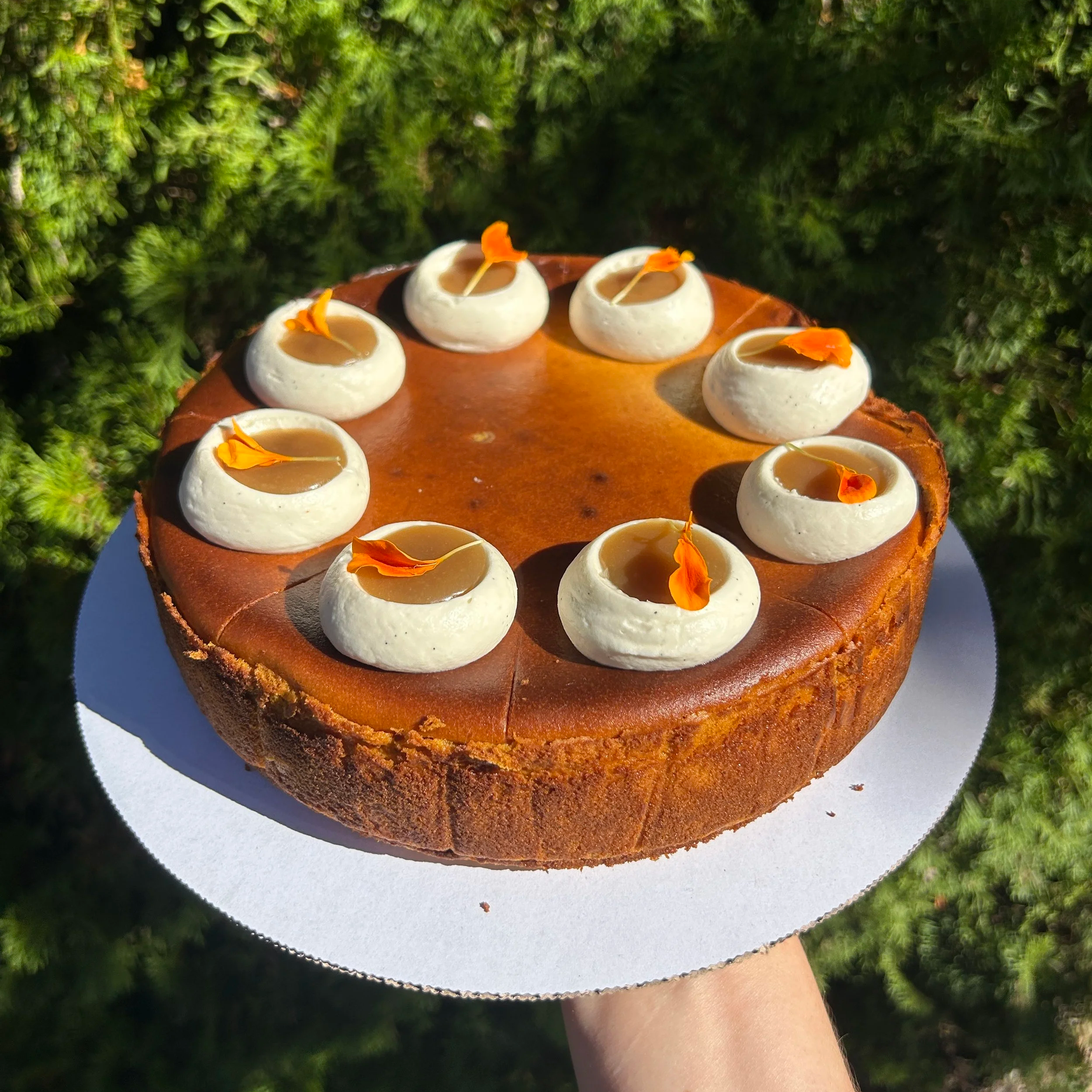 Grace's Pumpkin Basque Cheesecake
