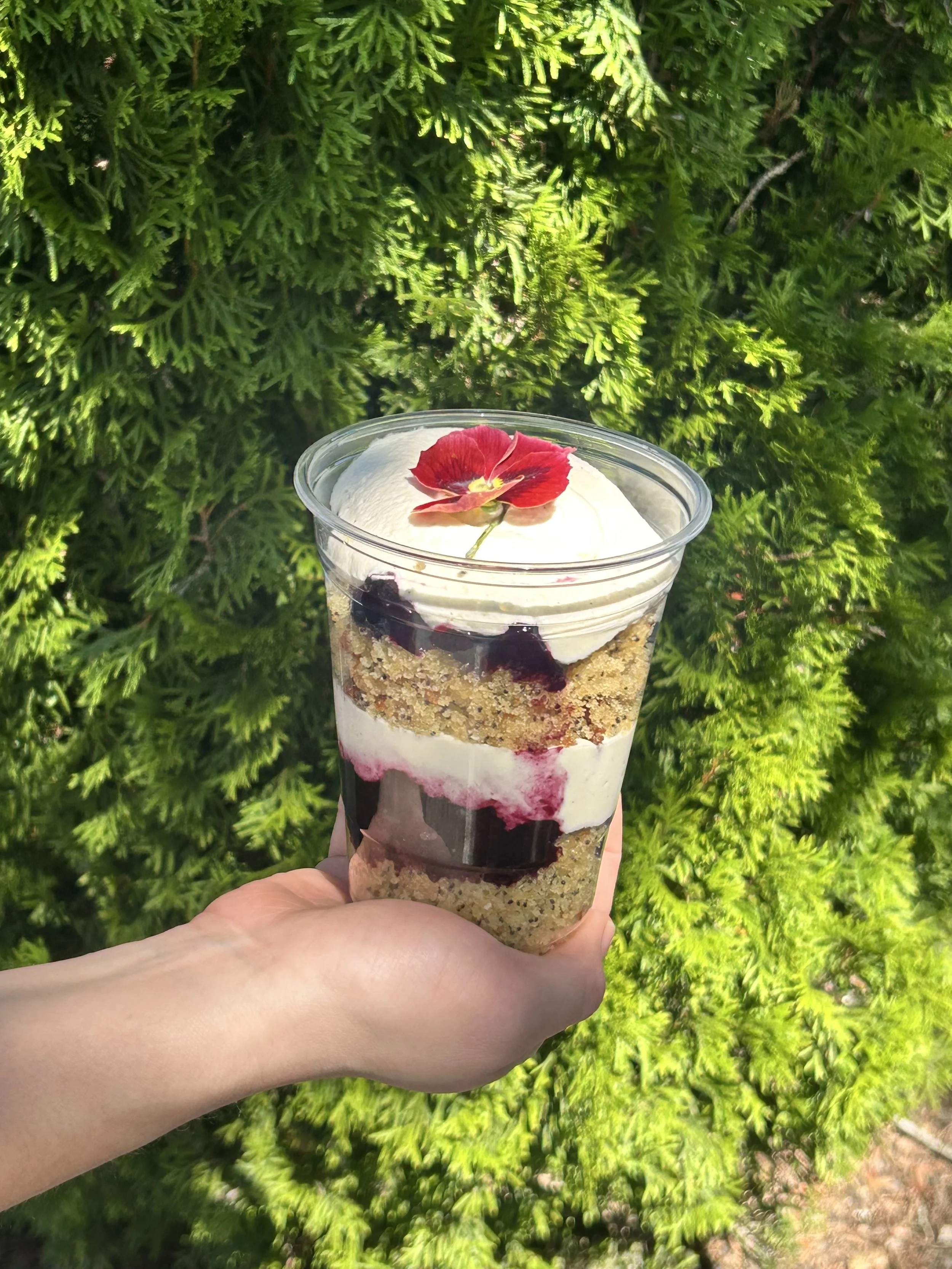 Lemon Poppy Blueberry & Whip Trifle Cup
