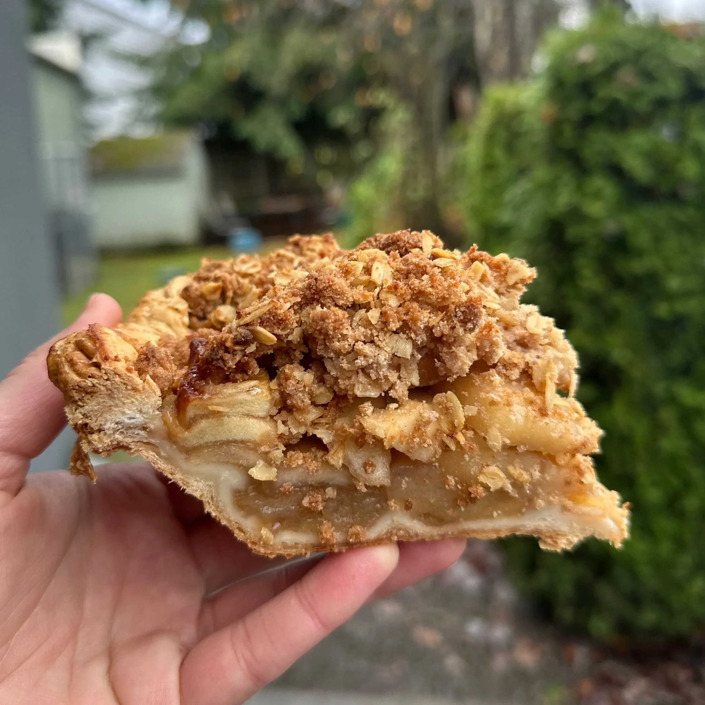 Deep Dish Dutch Apple Pie