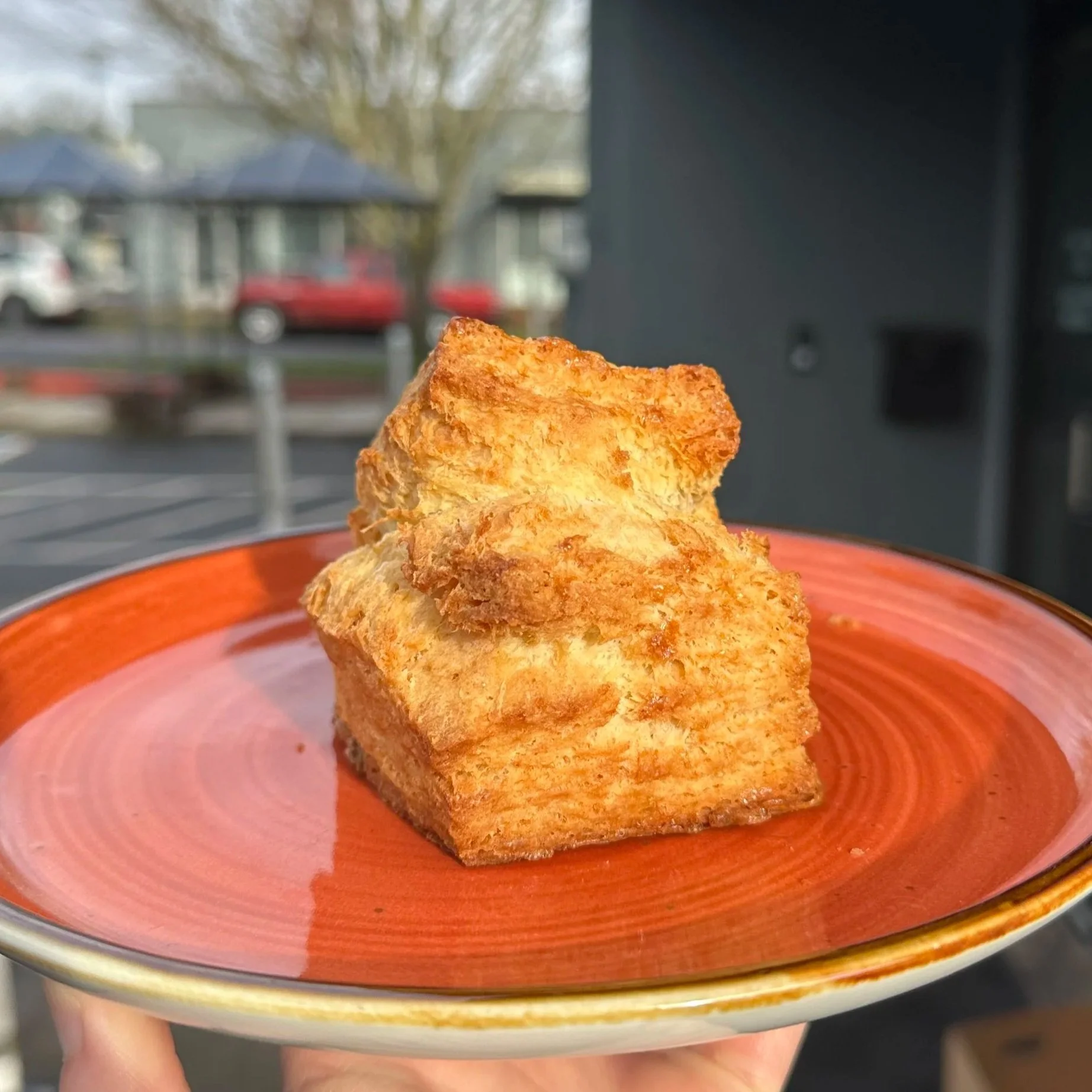 Buttermilk Biscuits (6)