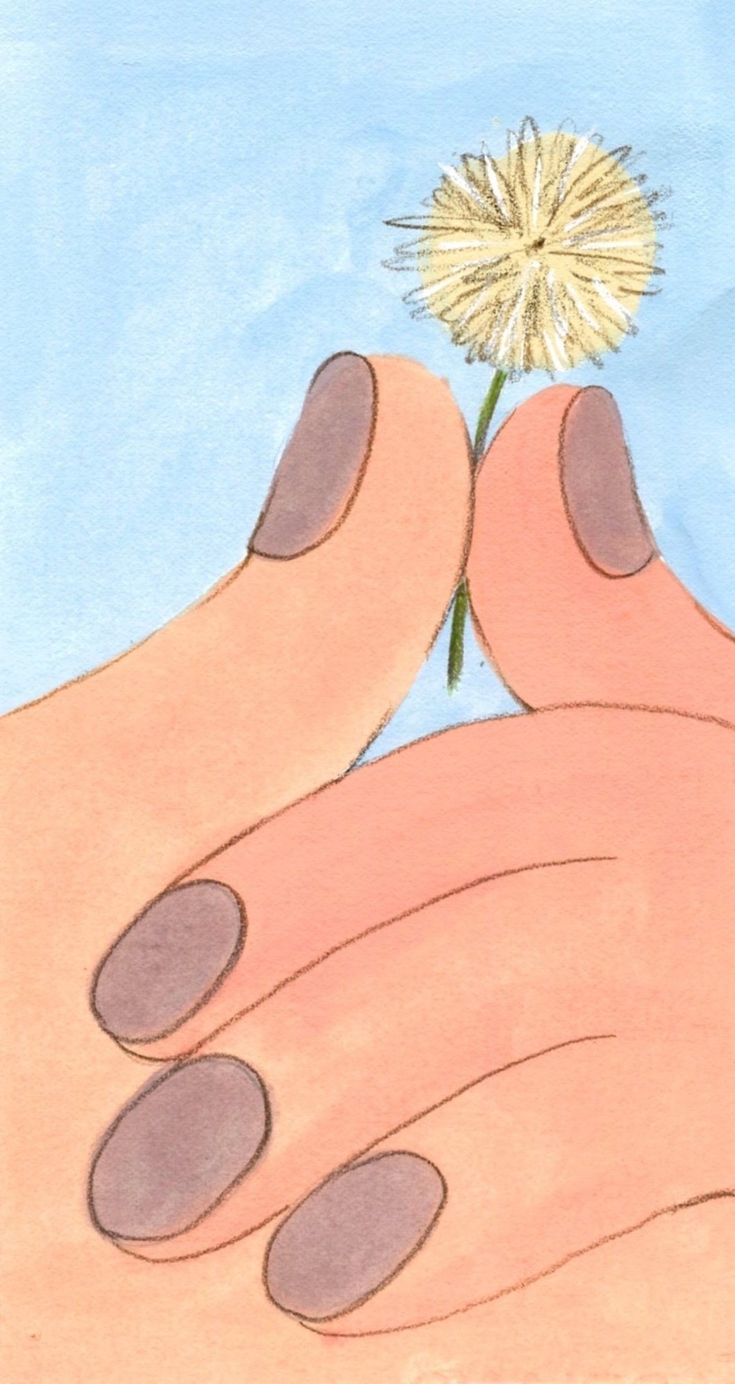 Dandelion