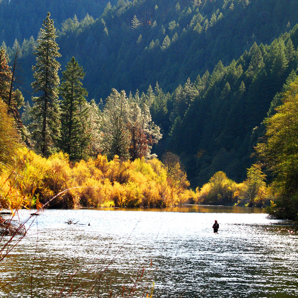 How to Find Steelhead