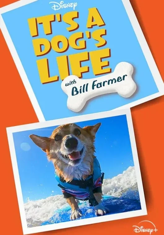 dogs-life-bill-farmer-music.webp