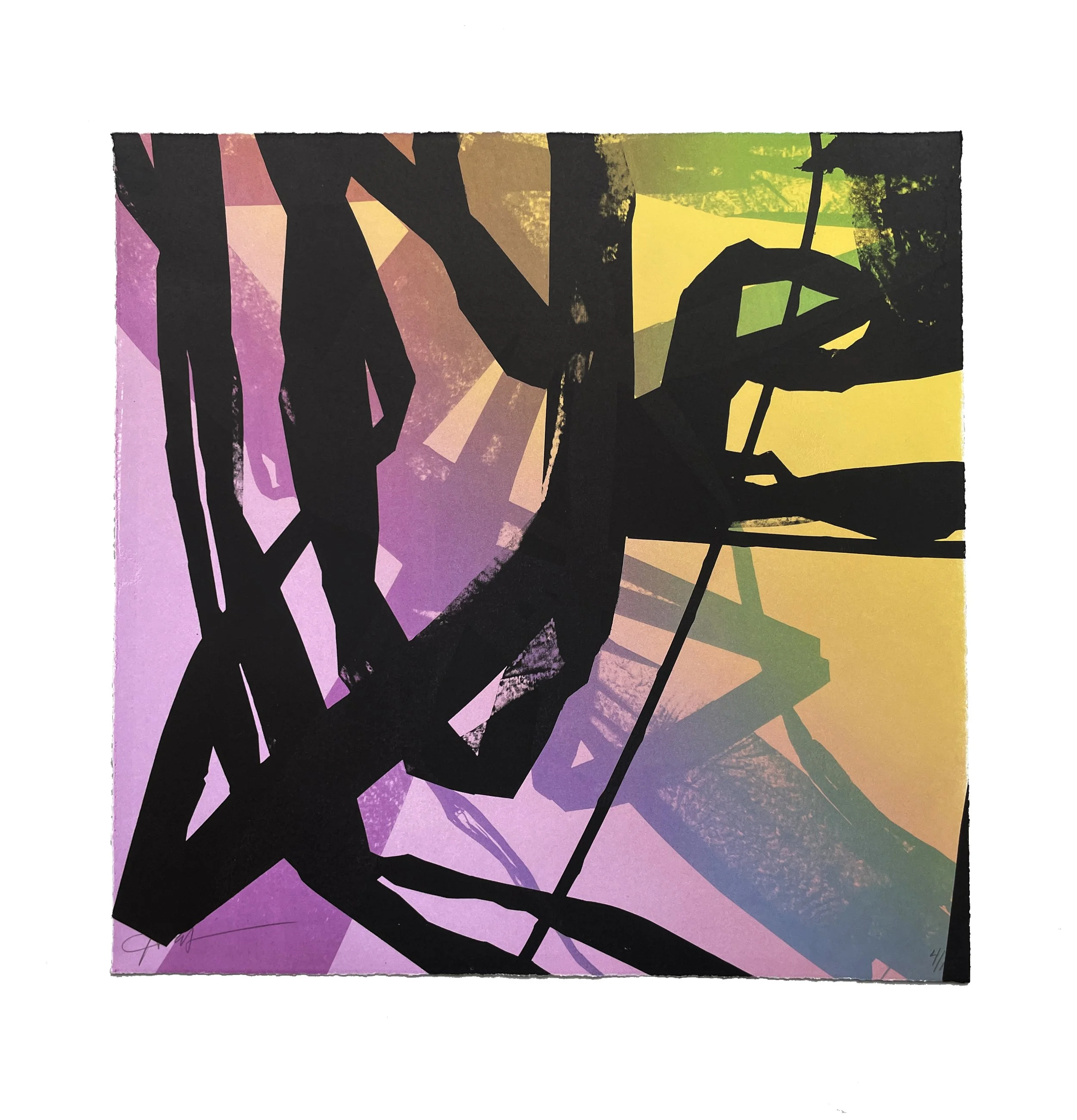 "Untitled II," by Eric Von Haynes