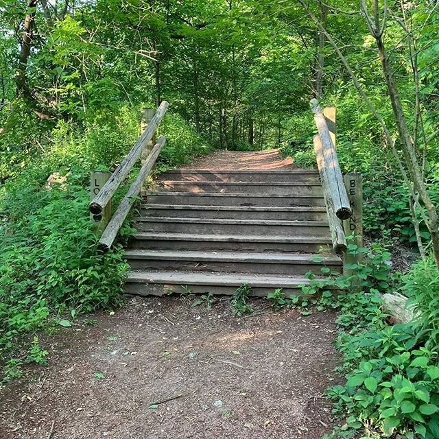 Day 88, new paths.