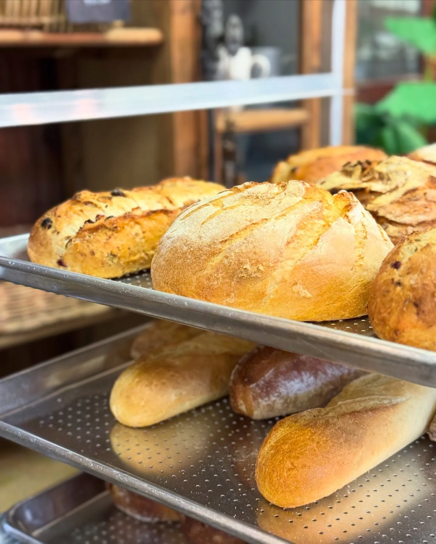 A morning glow only a true Swiss loaf could wear so beautifully. Rustic perfection, baked fresh. 🇨🇭

#landertbread #swiss #bakery #naplesfl