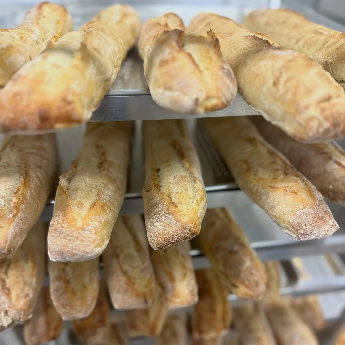 Good morning, fresh baked sourdough baguettes &amp; much more! 

@vanderbiltshoppes 8-1pm 

Come by to see us 🥖❤️