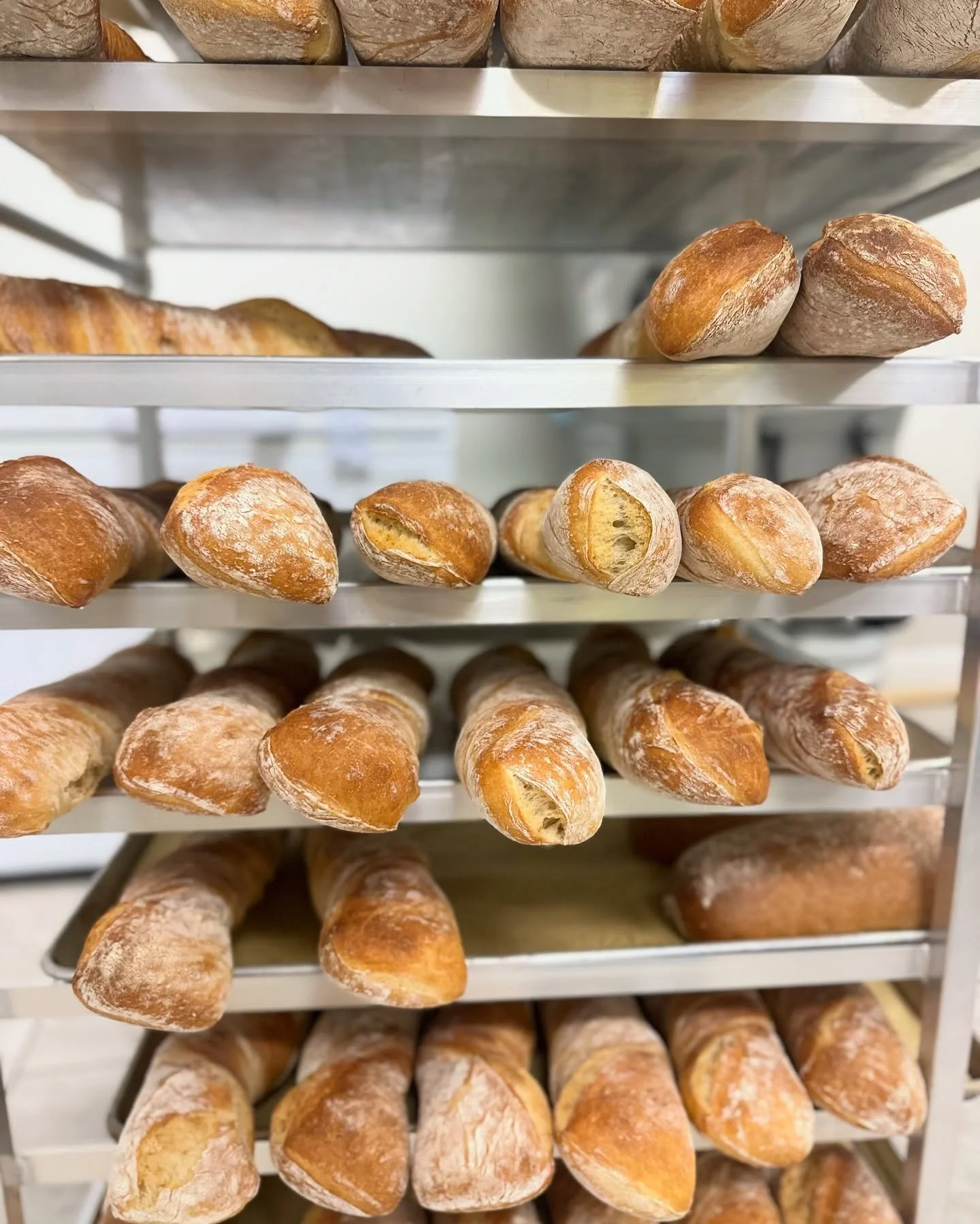 Market mornings done the European way ✨

Fresh Landert Bread favorites, buttery pastries, and all the good vibes @vanderbiltmarket, 8&ndash;1 🥐🇨🇭