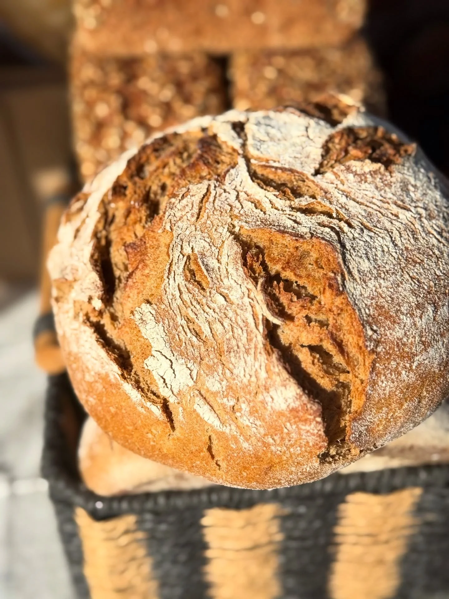 Before sourdough became trendy, there was rye. 🌾

A cornerstone of European baking for centuries, rye is celebrated for its rich flavor, hearty texture, and naturally satisfying character. It&rsquo;s the grain behind some of the world&rsquo;s most b
