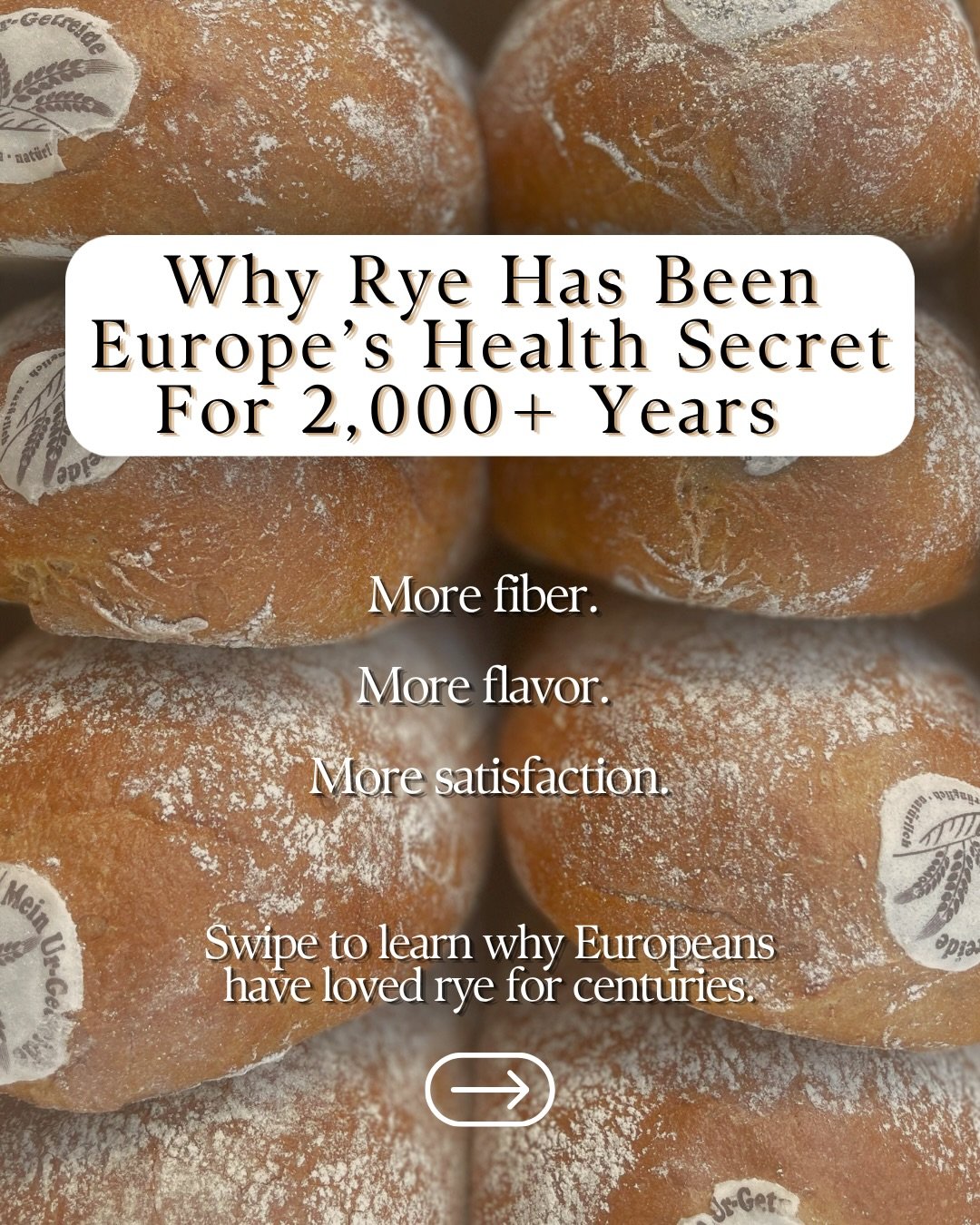 🌾 Before sourdough became a trend, rye was feeding Europe.

For over 2,000 years, rye has been a cornerstone of baking across Switzerland, Germany, Scandinavia, and Eastern Europe. Known for its rich flavor, natural fiber content, and satisfying tex